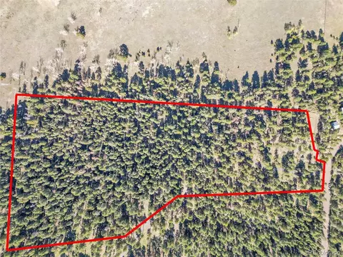 Molly Dr, Conifer, CO 80433 photo 33