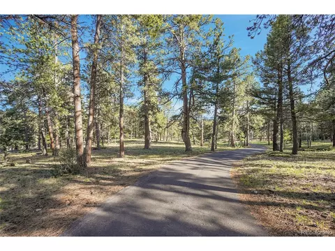 Molly Dr, Conifer, CO 80433 photo 8