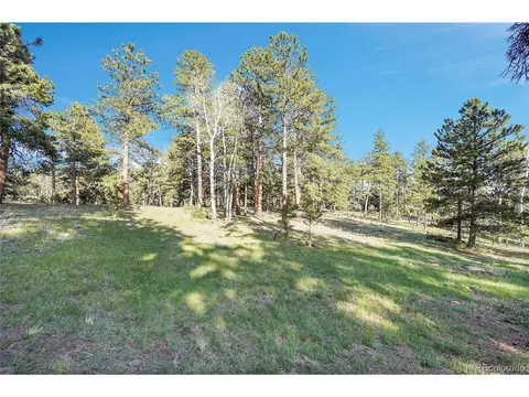 Molly Dr, Conifer, CO 80433 photo 13