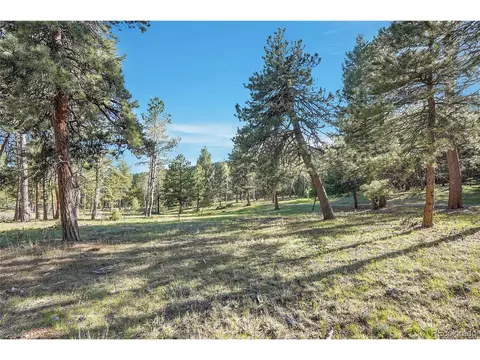 Molly Dr, Conifer, CO 80433 photo 6