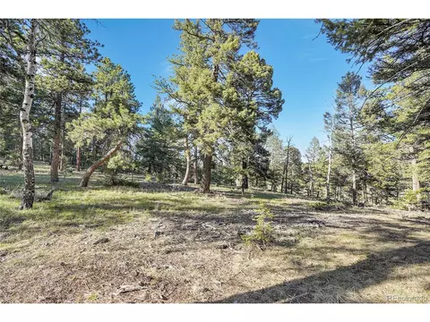 Molly Dr, Conifer, CO 80433 photo 3