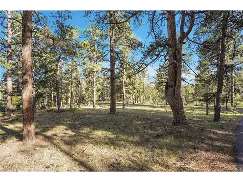 Molly Dr, Conifer, CO 80433 photo 11