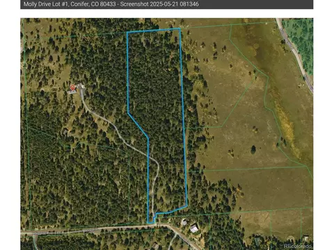 Molly Dr, Conifer, CO 80433 photo 34