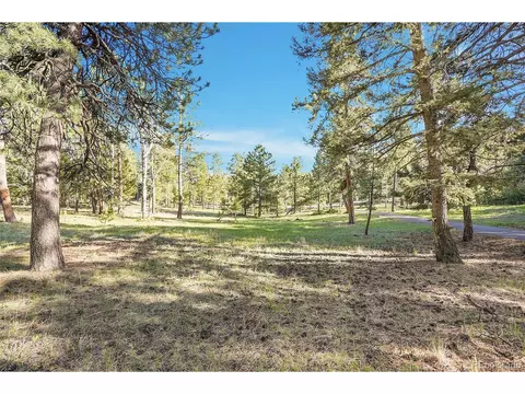 Molly Dr, Conifer, CO 80433 photo 12