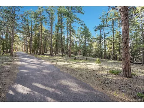 Molly Dr, Conifer, CO 80433 photo 9