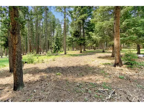 32258 Stenzel Dr, Conifer, CO 80433 photo 24