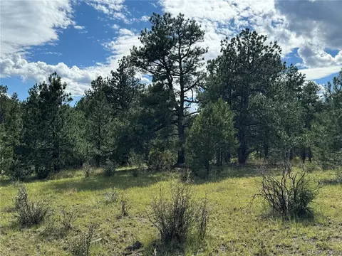 Twinkle Rd, Guffey, CO 80820 photo 7