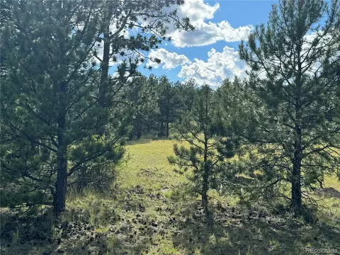 Twinkle Rd, Guffey, CO 80820 photo 22