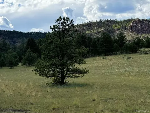 Twinkle Rd, Guffey, CO 80820 photo 32