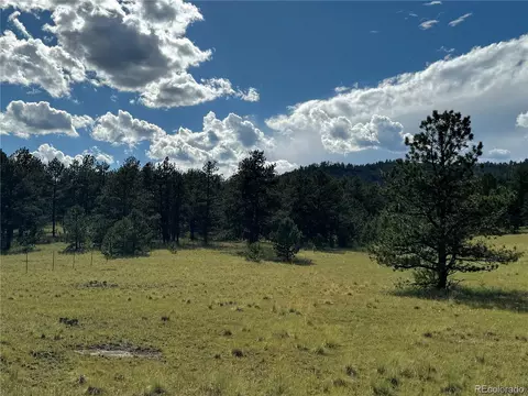 Twinkle Rd, Guffey, CO 80820 photo 28