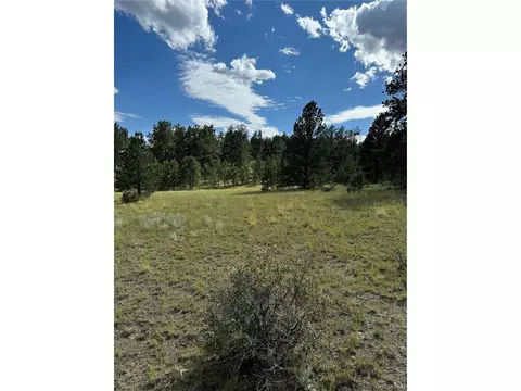 Twinkle Rd, Guffey, CO 80820 photo 20