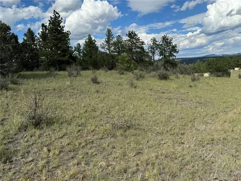 Twinkle Rd, Guffey, CO 80820 photo 11