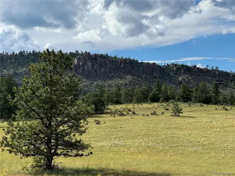 Twinkle Rd, Guffey, CO 80820 photo 24