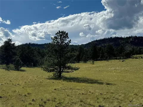 Twinkle Rd, Guffey, CO 80820 photo 27