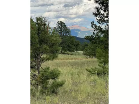 Twinkle Rd, Guffey, CO 80820 photo 21