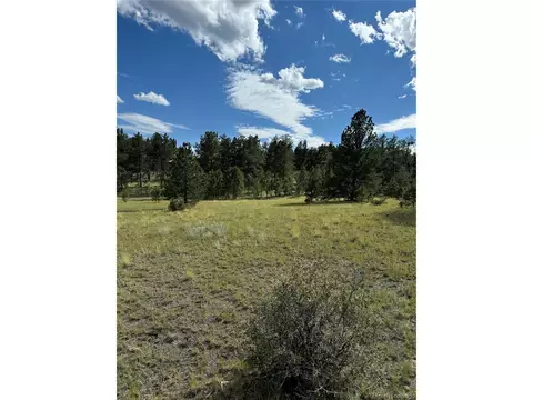 Twinkle Rd, Guffey, CO 80820 photo 19