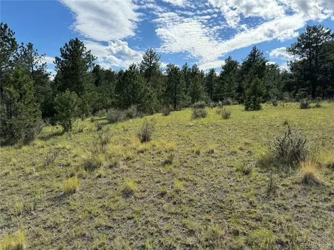 Twinkle Rd, Guffey, CO 80820 photo 16