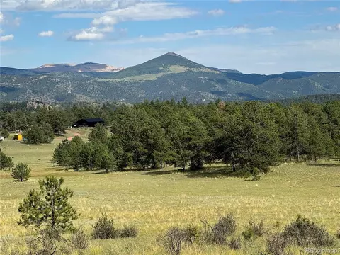 Twinkle Rd, Guffey, CO 80820 photo 3