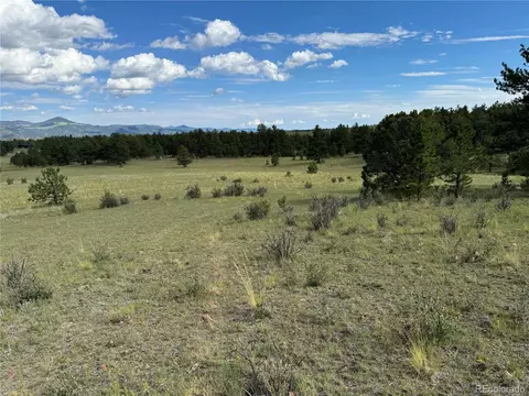 Twinkle Rd, Guffey, CO 80820 photo 15