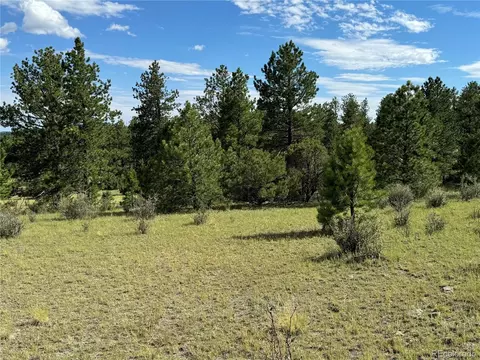 Twinkle Rd, Guffey, CO 80820 photo 5
