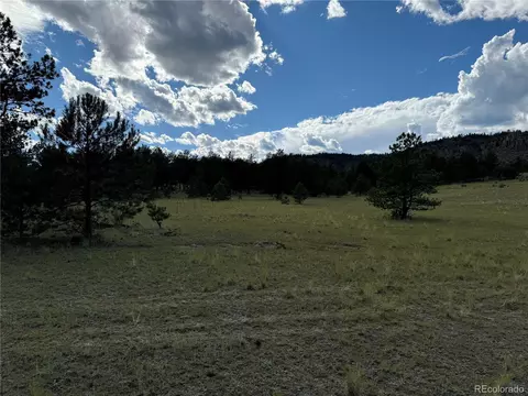 Twinkle Rd, Guffey, CO 80820 photo 39