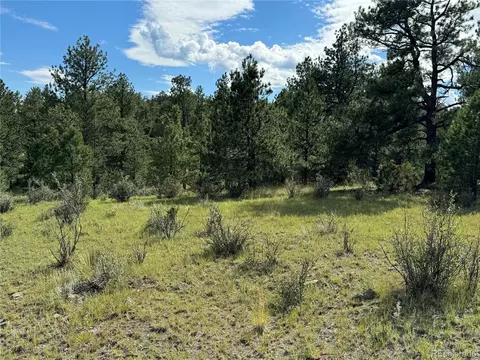 Twinkle Rd, Guffey, CO 80820 photo 6