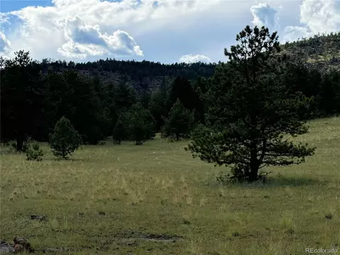 Twinkle Rd, Guffey, CO 80820 photo 33
