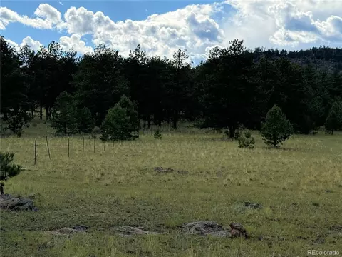 Twinkle Rd, Guffey, CO 80820 photo 29