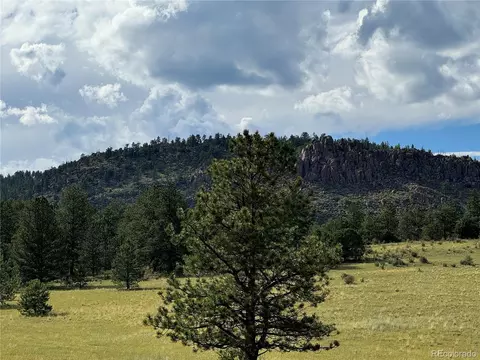 Twinkle Rd, Guffey, CO 80820 photo 23