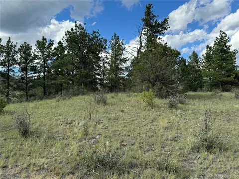Twinkle Rd, Guffey, CO 80820 photo 40