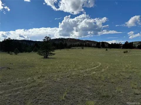 Twinkle Rd, Guffey, CO 80820 photo 37