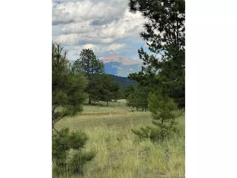Twinkle Rd, Guffey, CO 80820 photo 41