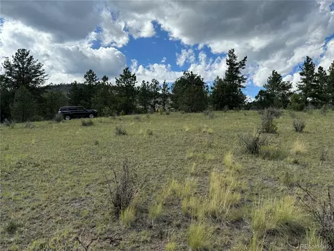 Twinkle Rd, Guffey, CO 80820 photo 18