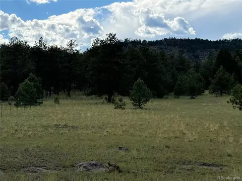 Twinkle Rd, Guffey, CO 80820 photo 34
