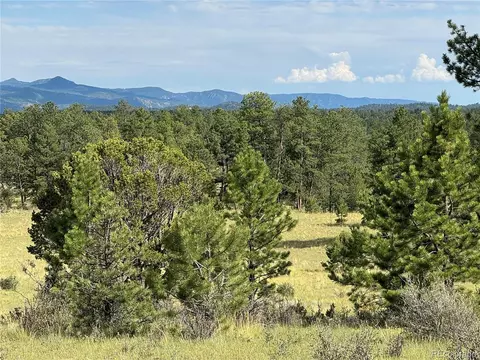 Twinkle Rd, Guffey, CO 80820 photo 4