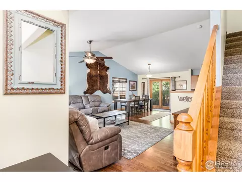 847 Amber Ct, Windsor, CO 80550 photo 6