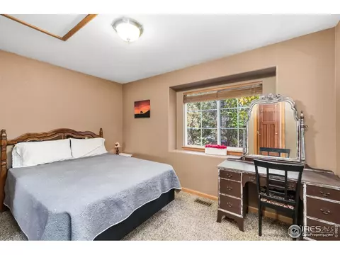 847 Amber Ct, Windsor, CO 80550 photo 19