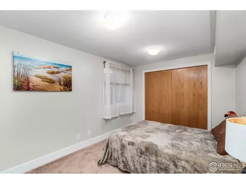 847 Amber Ct, Windsor, CO 80550 photo 22
