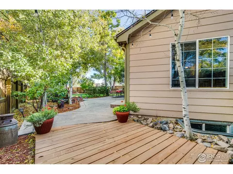 847 Amber Ct, Windsor, CO 80550 photo 26