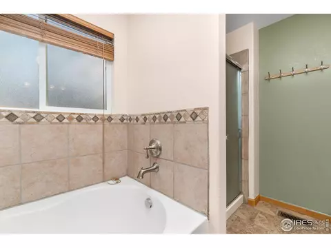 847 Amber Ct, Windsor, CO 80550 photo 17