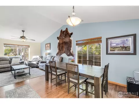 847 Amber Ct, Windsor, CO 80550 photo 8