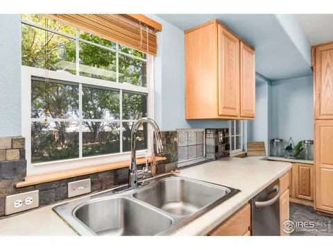 847 Amber Ct, Windsor, CO 80550 photo 12