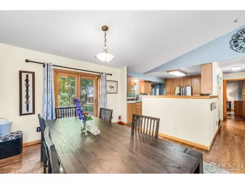 847 Amber Ct, Windsor, CO 80550 photo 9