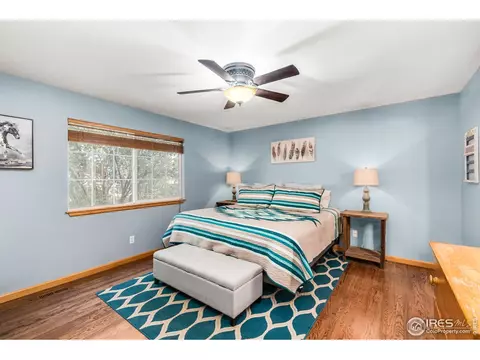847 Amber Ct, Windsor, CO 80550 photo 14