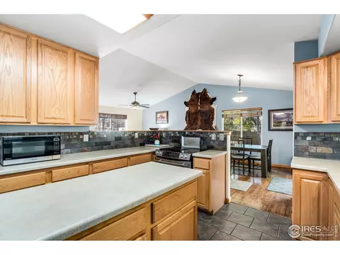 847 Amber Ct, Windsor, CO 80550 photo 11