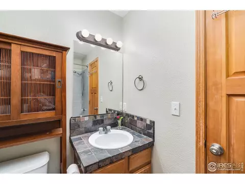 847 Amber Ct, Windsor, CO 80550 photo 21