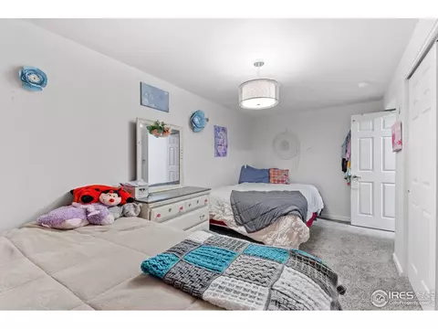 3917 Stampede Dr, Evans, CO 80620 photo 30