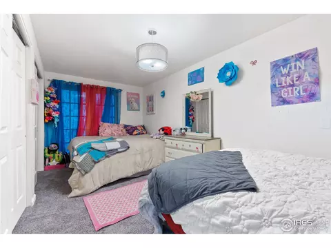3917 Stampede Dr, Evans, CO 80620 photo 29