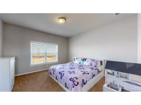 46400 E 112th Ave, Bennett, CO 80102 photo 29