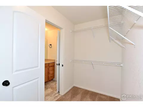 1106 Tur St, Severance, CO 80550 photo 26